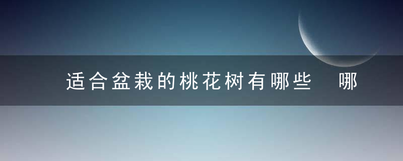 适合盆栽的桃花树有哪些 哪些桃花树适宜盆栽